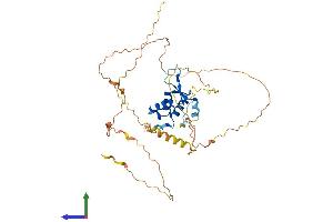 AlphaFold protein structure predicition of Human Recombinant FOXD4L6 Protein, UniprotID Q3SYB3 (FOXD4L6 Protein (AA 1-417) (His tag))