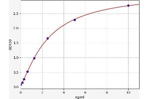 Typical standard curve (CX3CR1 ELISA Kit)