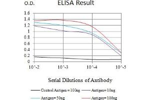 Black line: Control Antigen (100 ng),Purple line: Antigen (10 ng), Blue line: Antigen (50 ng), Red line:Antigen (100 ng) (FAP antibody  (AA 26-264))