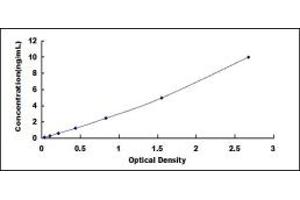 Typical standard curve (RIPK1 ELISA Kit)