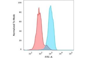 Flow Cytometric Analysis of PFA fixed MCF-7 cells using FOXA1 Mouse Monoclonal Antibody (FOXA1/1515), followed by goat anti-mouse IgG-CF488 (Blue), Goat anti-mouse IgG-CF488 Is Control (Red).