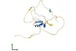 AlphaFold protein structure predicition of Human Recombinant SOX12 Protein, UniprotID O15370