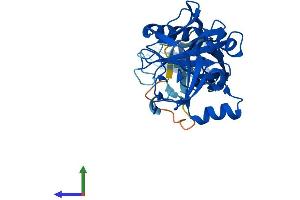 AlphaFold protein structure predicition of Human Recombinant PHYHIP Protein, UniprotID Q92561