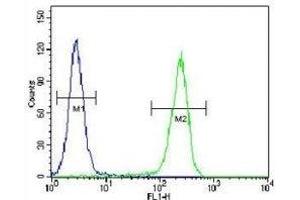 CRFR2D antibody flow cytometric analysis of HeLa cells (right histogram) compared to a negative control cell (left histogram). (CRFR2D antibody)