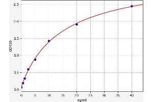 Typical standard curve (AMD1 ELISA Kit)