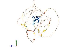 Protein Structure (PS) image for Ring Finger Protein 38 (RNF38) (AA 1-515) protein (His tag) (ABIN7551474)