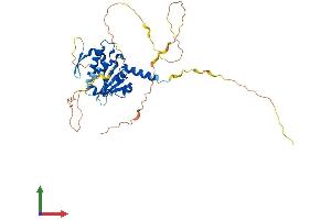 AlphaFold protein structure predicition of Mouse Recombinant Atcay Protein, UniprotID Q8BHE3 (ATCAY Protein (AA 1-372) (His tag))