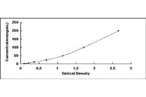 Typical standard curve (Calreticulin ELISA Kit)