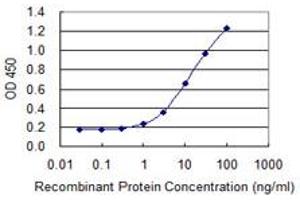 Detection limit for recombinant GST tagged SLC26A3 is 0. (SLC26A3 antibody  (AA 503-600))
