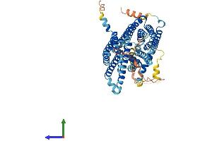 AlphaFold protein structure predicition of Human Recombinant SLC40A1 Protein, UniprotID Q9NP59 (SLC40A1 Protein (AA 1-571) (His tag))