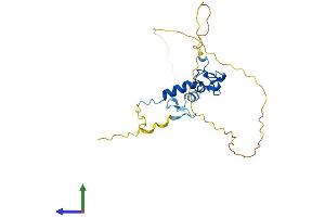 AlphaFold protein structure predicition of Human Recombinant ZFAND3 Protein, UniprotID Q9H8U3