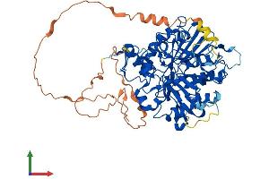 AlphaFold protein structure predicition of Human Recombinant TDP1 Protein, UniprotID Q9NUW8 (TDP1 Protein (AA 1-608) (His tag))