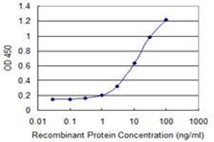Detection limit for recombinant GST tagged CTNNB1 is 0. (CTNNB1 antibody  (AA 682-781))