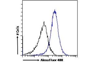 (ABIN570720) Flow cytometric analysis of paraformaldehyde fixed A549 cells (blue line), permeabilized with 0. (CTAG1B antibody  (Internal Region))