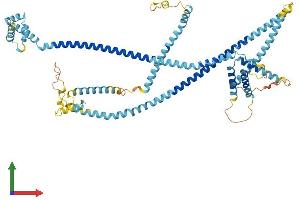 AlphaFold protein structure predicition of Mouse Recombinant Haus5 Protein, UniprotID Q9D786 (HAUS5 Protein (AA 1-619) (His tag))
