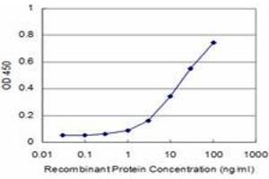 Detection limit for recombinant GST tagged PRDM1 is approximately 3ng/ml as a capture antibody. (PRDM1 antibody  (AA 1-109))