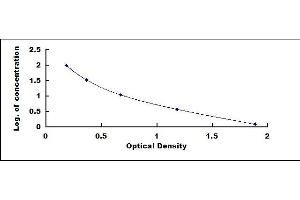 Typical standard curve (KNG1 ELISA Kit)