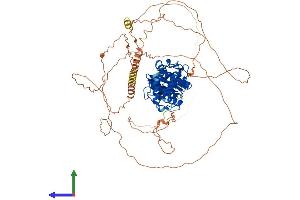 AlphaFold protein structure predicition of Mouse Recombinant Senp5 Protein, UniprotID Q6NXL6 (SENP5 Protein (AA 1-749) (His tag))