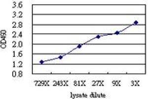 Sandwich ELISA detection sensitivity ranging from approximately 729x to 3x dilution of the DLX1 293T overexpression lysate (non-denatured).