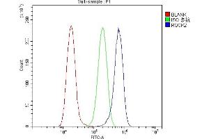 Flow Cytometry analysis of A549 cells using anti-ROCK2 antibody (ABIN7602236). (ROCK2 antibody  (AA 652-909))