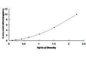 ELISA image for D-Aspartate Oxidase (DDO) ELISA Kit (ABIN6720597)