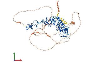 Protein Structure (PS) image for Prickle Homolog 3 (PRICKLE3) (AA 1-624) protein (His tag) (ABIN7558362)