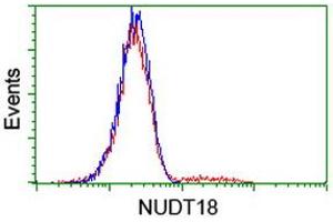 Image no. 2 for anti-Nudix (Nucleoside Diphosphate Linked Moiety X)-Type Motif 18 (NUDT18) antibody (ABIN1499858)