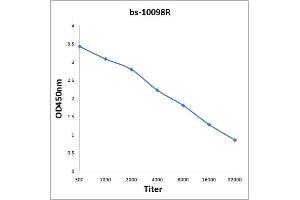 Antigen: 0. (S100A6 antibody  (AA 15-70))