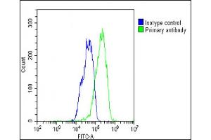 Overlay histogram showing HepG2 cells stained with (ABIN6244226 and ABIN6577745)(green line). (WDR82 antibody  (N-Term))