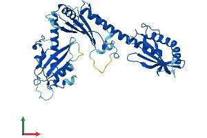 AlphaFold protein structure predicition of Human Recombinant BABAM2 Protein, UniprotID Q9NXR7