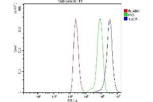 Flow Cytometry analysis of THP-1 cells using anti-CFA/TBCA antibody (ABIN7598945). (TBCA antibody  (AA 1-108))