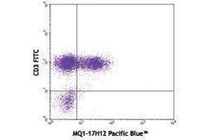 Flow Cytometry (FACS) image for anti-Interleukin 2 (IL2) antibody (Pacific Blue) (ABIN2662352) (IL-2 antibody  (Pacific Blue))