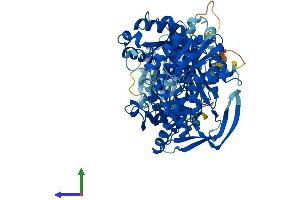 AlphaFold protein structure predicition of Human Recombinant CARNS1 Protein, UniprotID A5YM72 (CARNS1 Protein (AA 1-827) (His tag))
