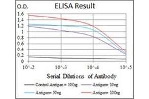 ELISA image for anti-Cyclin-Dependent Kinase 2 (CDK2) antibody (ABIN1106645)