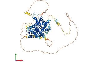Protein Structure (PS) image for PARP1 Binding Protein (PARPBP) (AA 1-573) protein (His tag) (ABIN7557932)