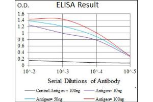 Red: Control Antigen (100ng) ; Purple: Antigen (10ng) ; Green: Antigen (50ng) ; Blue: Antigen (100ng). (CD33 antibody  (AA 15-237))