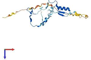 AlphaFold protein structure predicition of Mouse Recombinant Cfap126 Protein, UniprotID Q6P8X9 (CFAP126 Protein (AA 1-189) (His tag))