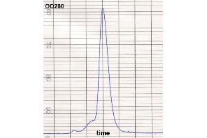 product purity: gel permeation chromatography (Superose 12/HR) (IgE Protein (Biotin))