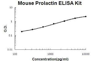 Mouse Prolactin PicoKine ELISA Kit standard curve