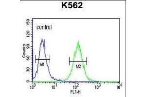 RTN4RL1 Antibody (C-term) (ABIN651458 and ABIN2840251) flow cytometric analysis of K562 cells (right histogram) compared to a negative control cell (left histogram). (RTN4RL1 antibody  (C-Term))