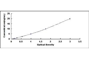 Typical standard curve (UCP1 ELISA Kit)