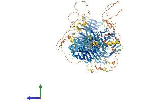 AlphaFold protein structure predicition of Mouse Recombinant Ric1 Protein, UniprotID Q69ZJ7
