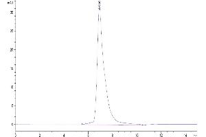 The purity of Biotinylated Human SIRP gamma is greater than 95 % as determined by SEC-HPLC. (SIRPG Protein (AA 29-360) (His-Avi Tag,Biotin))