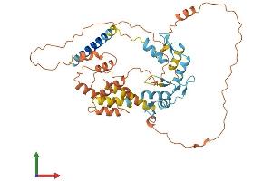 Protein Structure (PS) image for Zinc Finger Protein 161 Homolog (ZFP161) (AA 1-449) protein (His tag) (ABIN7545224)