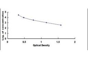 Image no. 1 for Luteinizing Hormone (LH) ELISA Kit (ABIN1873326)