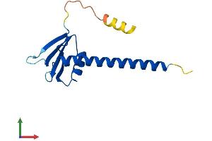 AlphaFold protein structure predicition of Mouse Recombinant Polr1d Protein, UniprotID P97304