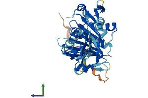 AlphaFold protein structure predicition of Human Recombinant CAPG Protein, UniprotID P40121