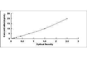 Annexin IV ELISA Kit