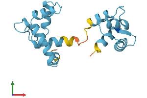 Protein Structure (PS) image for Cardiac Troponin C (TNNC1) (AA 1-161) protein (His tag) (ABIN7544499)