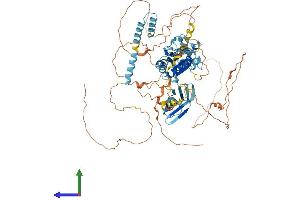 AlphaFold protein structure predicition of Human Recombinant BANK1 Protein, UniprotID Q8NDB2 (BANK1 Protein (AA 1-785) (His tag))